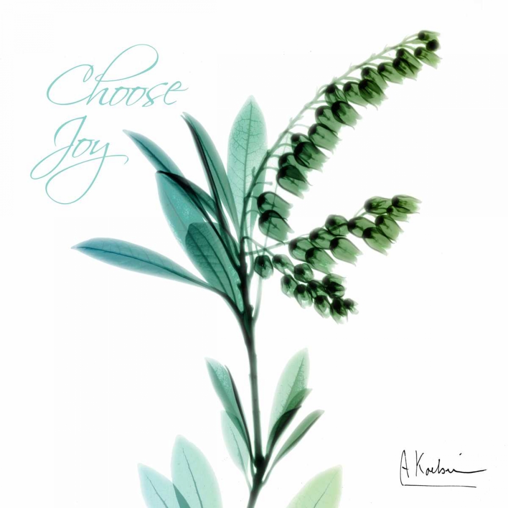 Choose Joy Lily of The Valley H12 art print by Albert Koetsier for $57.95 CAD