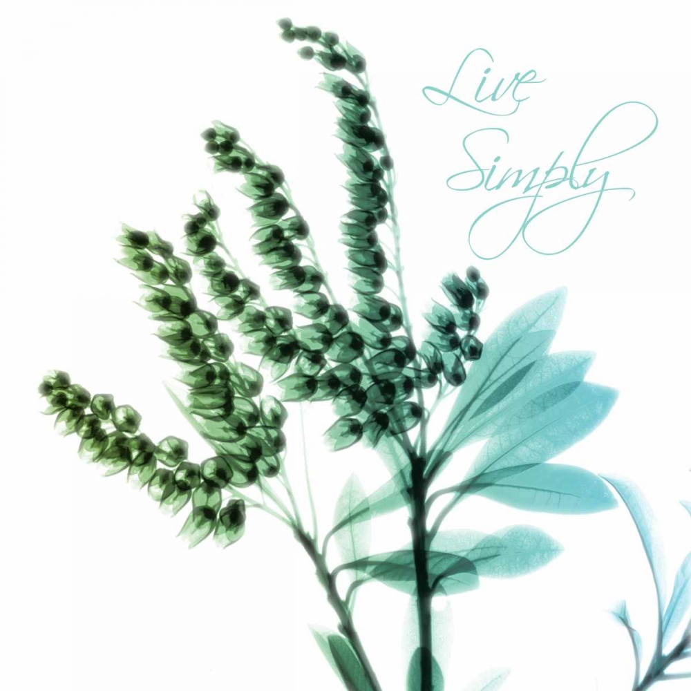 Live Simplyt art print by Albert Koetsier for $57.95 CAD