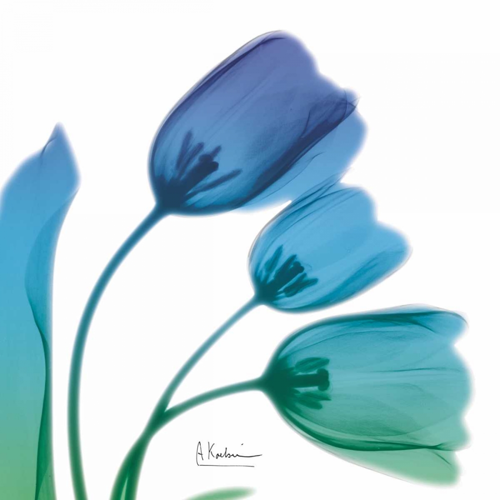 Tulips Turq Blue art print by Albert Koetsier for $57.95 CAD