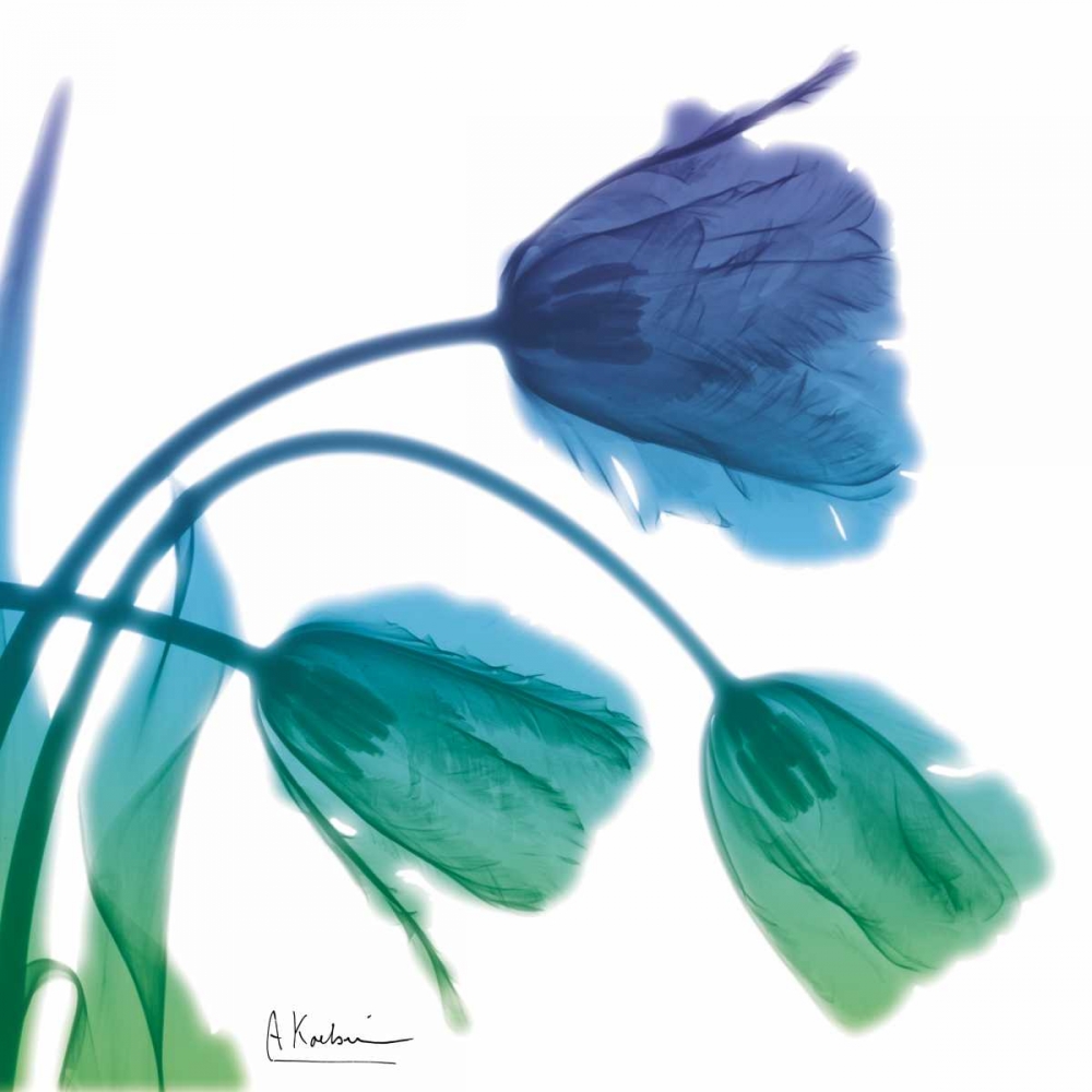 Tulips L83 Turq Blue art print by Albert Koetsier for $57.95 CAD