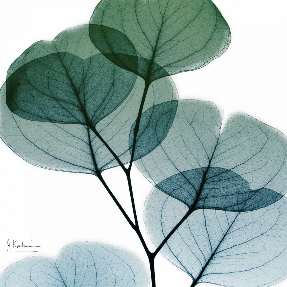 Dull Eucalyptus Mate art print by Albert Koetsier for $57.95 CAD