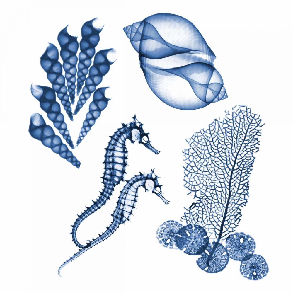 Blue Assortment One art print by Albert Koetsier for $57.95 CAD