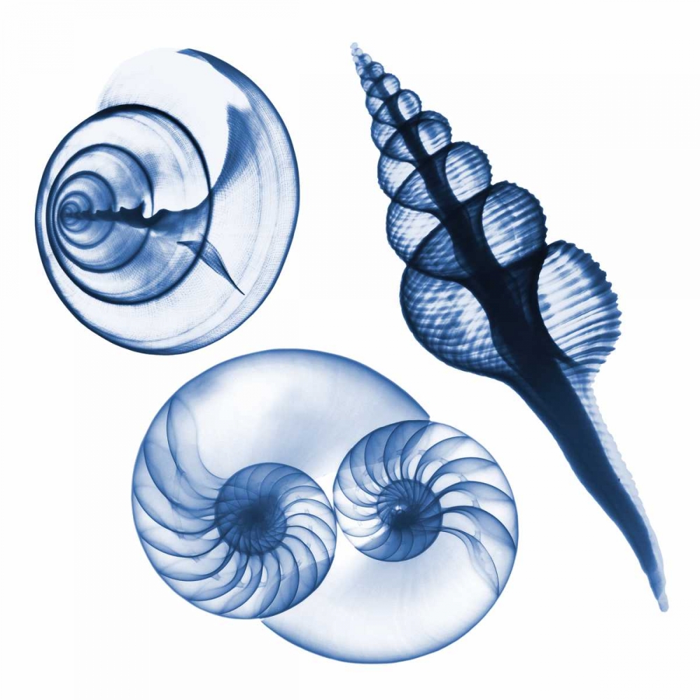 Blue Assortment Two art print by Albert Koetsier for $57.95 CAD