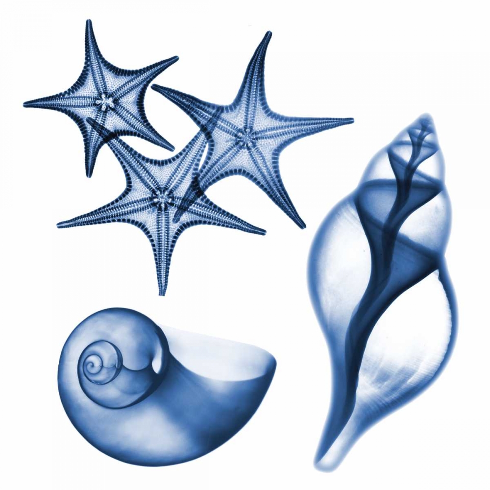 Blue Assortment Three art print by Albert Koetsier for $57.95 CAD