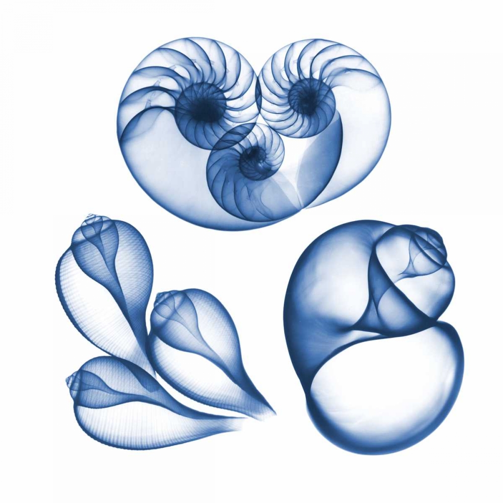 Blue Assortment Six art print by Albert Koetsier for $57.95 CAD