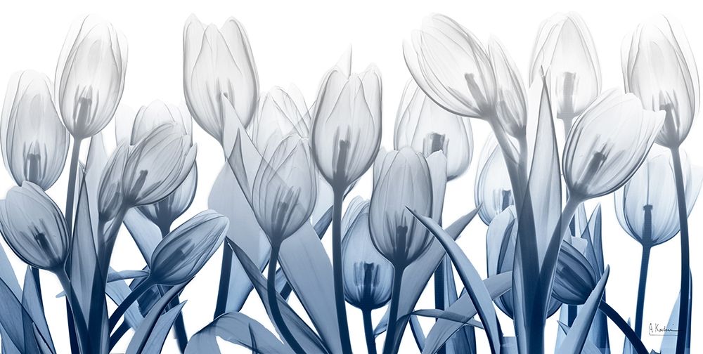 Midnight Blooms 1 art print by Albert Koetsier for $57.95 CAD