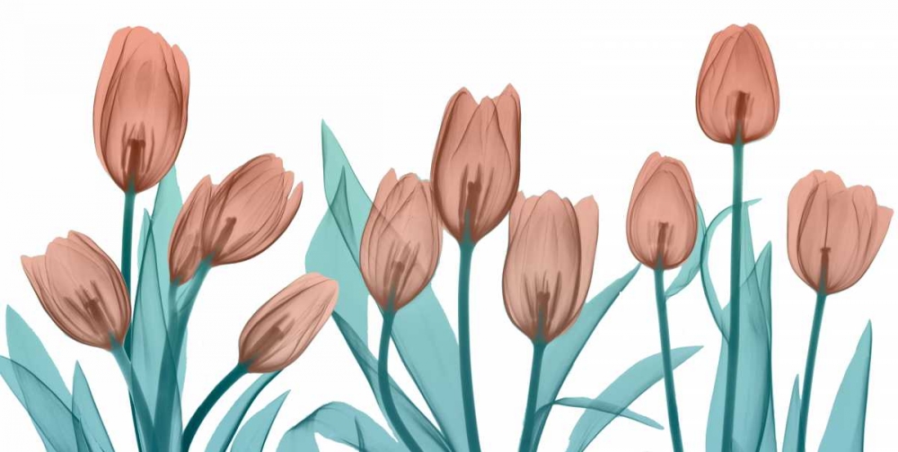 Burning Tulips art print by Albert Koetsier for $57.95 CAD