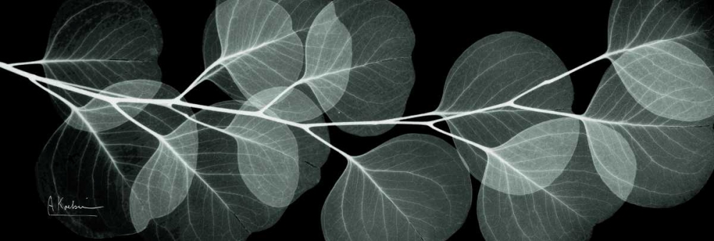 Eucalyptus Night 2 art print by Albert Koetsier for $57.95 CAD