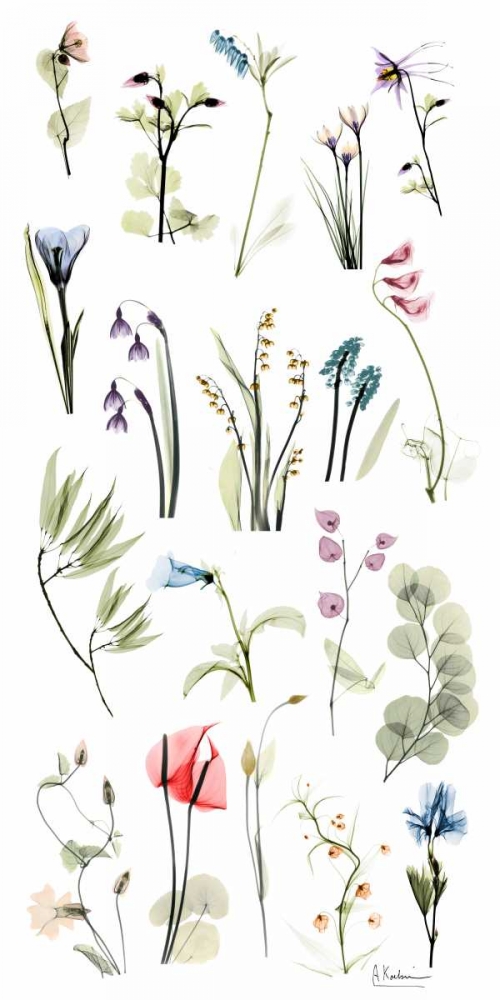 Zen Garden art print by Albert Koetsier for $57.95 CAD