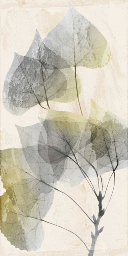 Golden Flaked art print by Albert Koetsier for $57.95 CAD