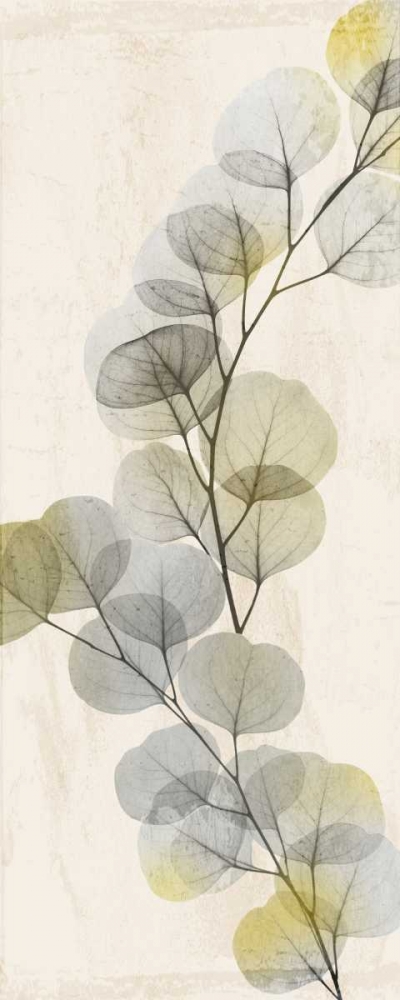 Golden Flaked 2 art print by Albert Koetsier for $57.95 CAD