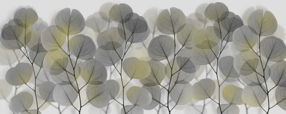 Thru The Brush art print by Albert Koetsier for $57.95 CAD