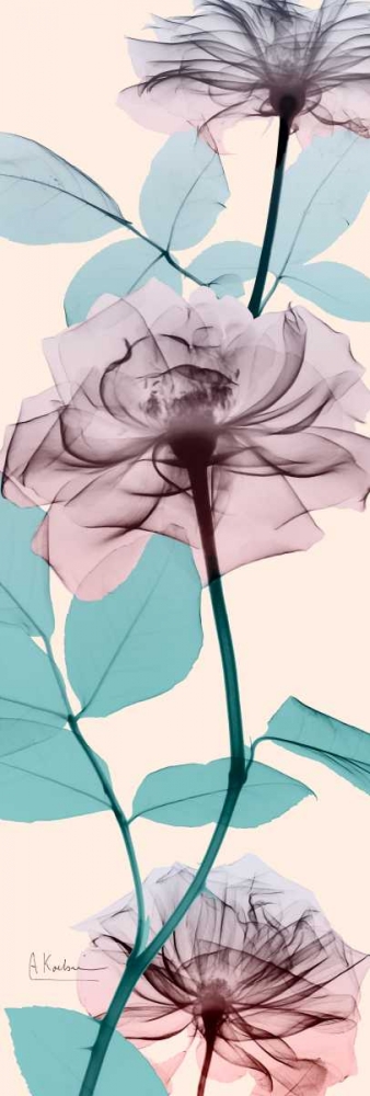 Spring Rose art print by Albert Koetsier for $57.95 CAD