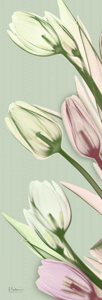 Spring Time Tulips art print by Albert Koetsier for $57.95 CAD