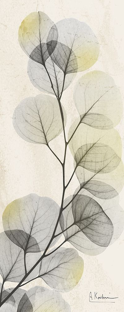 Eucalyptus Sunshine art print by Albert Koetsier for $57.95 CAD