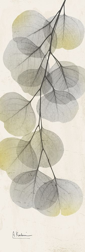 Eucalyptus Sunshine 2 art print by Albert Koetsier for $57.95 CAD