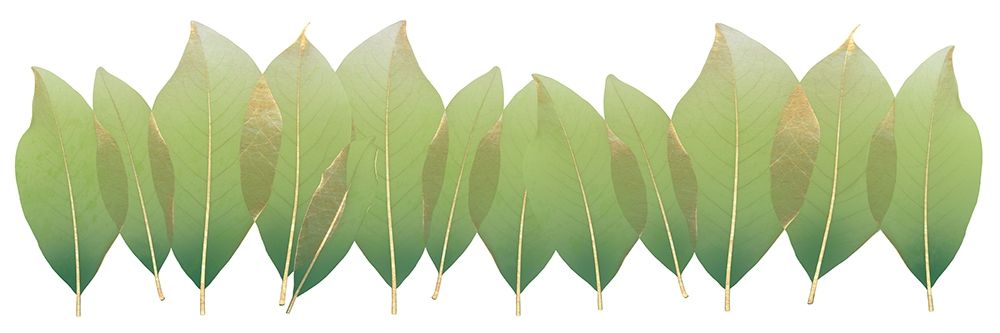 Single Filed Nature art print by Albert Koetsier for $57.95 CAD