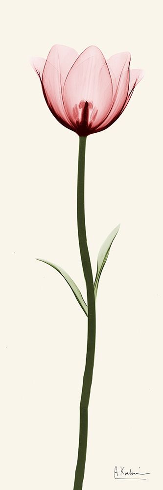 Standing Tall 1 art print by Albert Koetsier for $57.95 CAD
