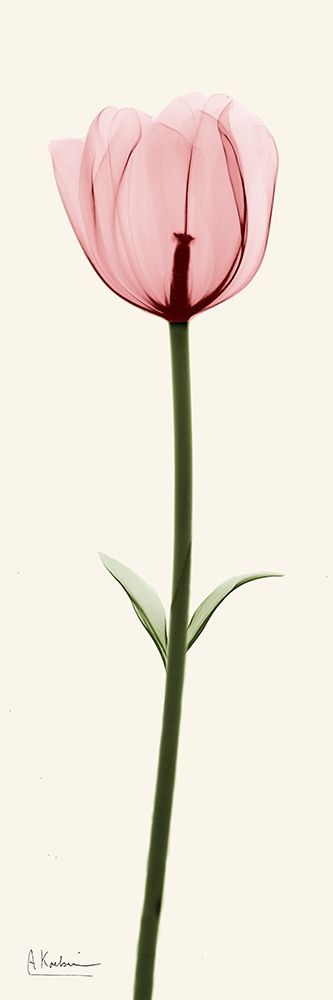 Standing Tall 2 art print by Albert Koetsier for $57.95 CAD