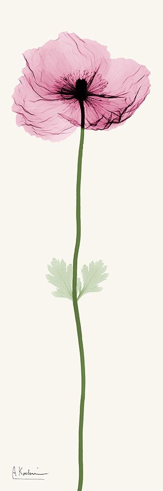 Standing Tall 4 art print by Albert Koetsier for $57.95 CAD