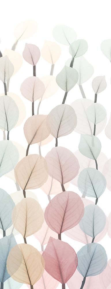 Sprouting Hues 1 art print by Albert Koetsier for $57.95 CAD