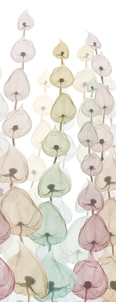 Sprouting Hues 3 art print by Albert Koetsier for $57.95 CAD