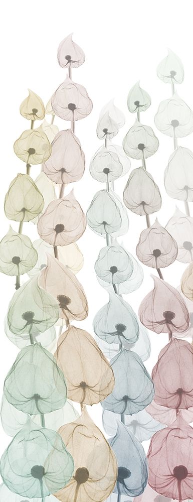Sprouting Hues 4 art print by Albert Koetsier for $57.95 CAD