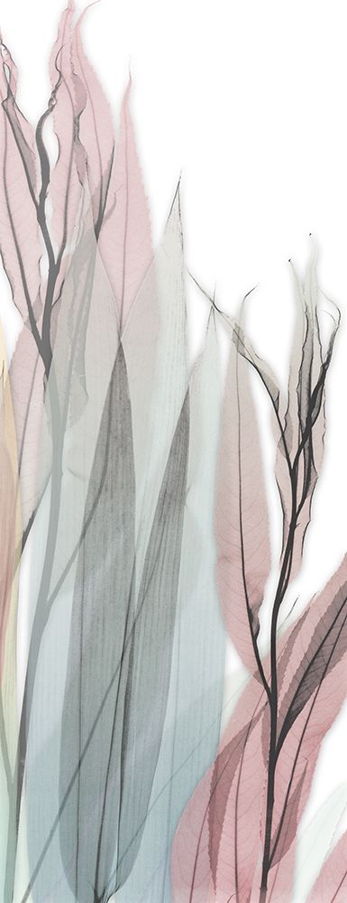Sprouting Hues 5 art print by Albert Koetsier for $57.95 CAD