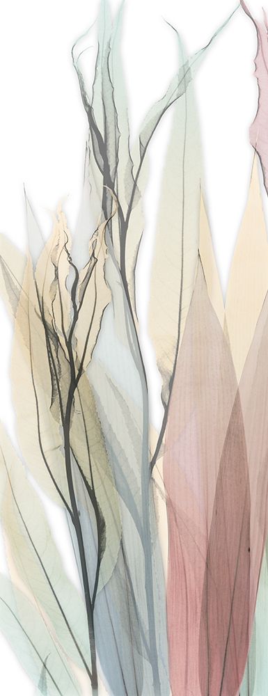 Sprouting Hues 6 art print by Albert Koetsier for $57.95 CAD