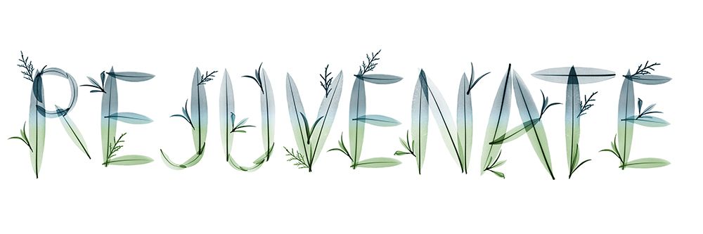 Rejuvenate art print by Albert Koetsier for $57.95 CAD