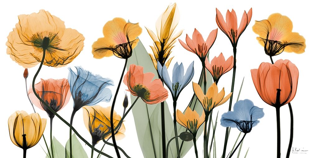 Bed of Love 1 art print by Albert Koetsier for $57.95 CAD