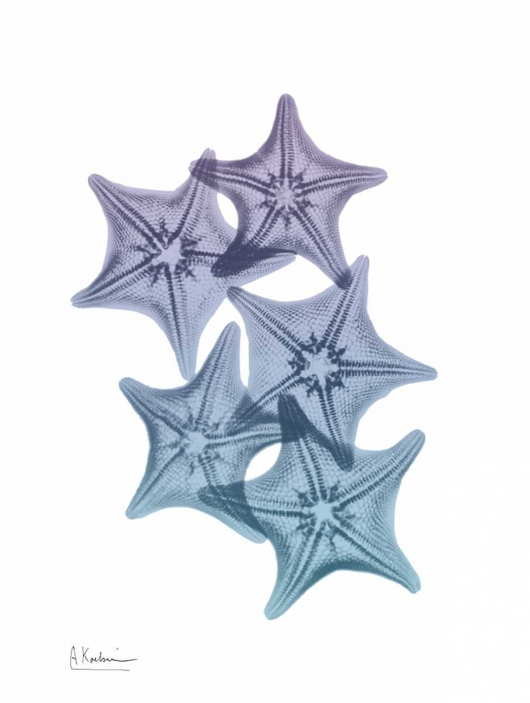 Lavender Splashed Starfish 1 art print by Albert Koetsier for $57.95 CAD