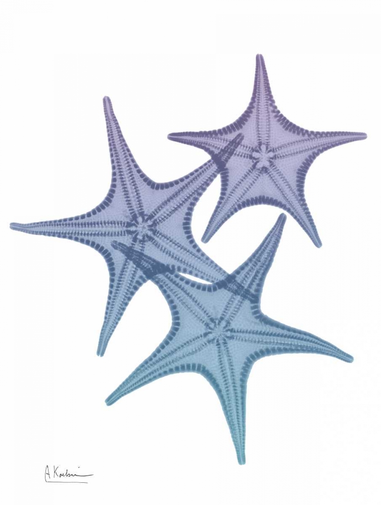 Lavender Splashed Starfish 2 art print by Albert Koetsier for $57.95 CAD