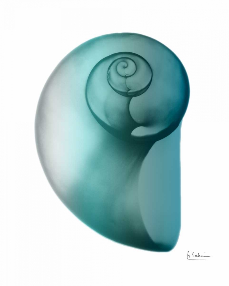 Water Snail 2 art print by Albert Koetsier for $57.95 CAD