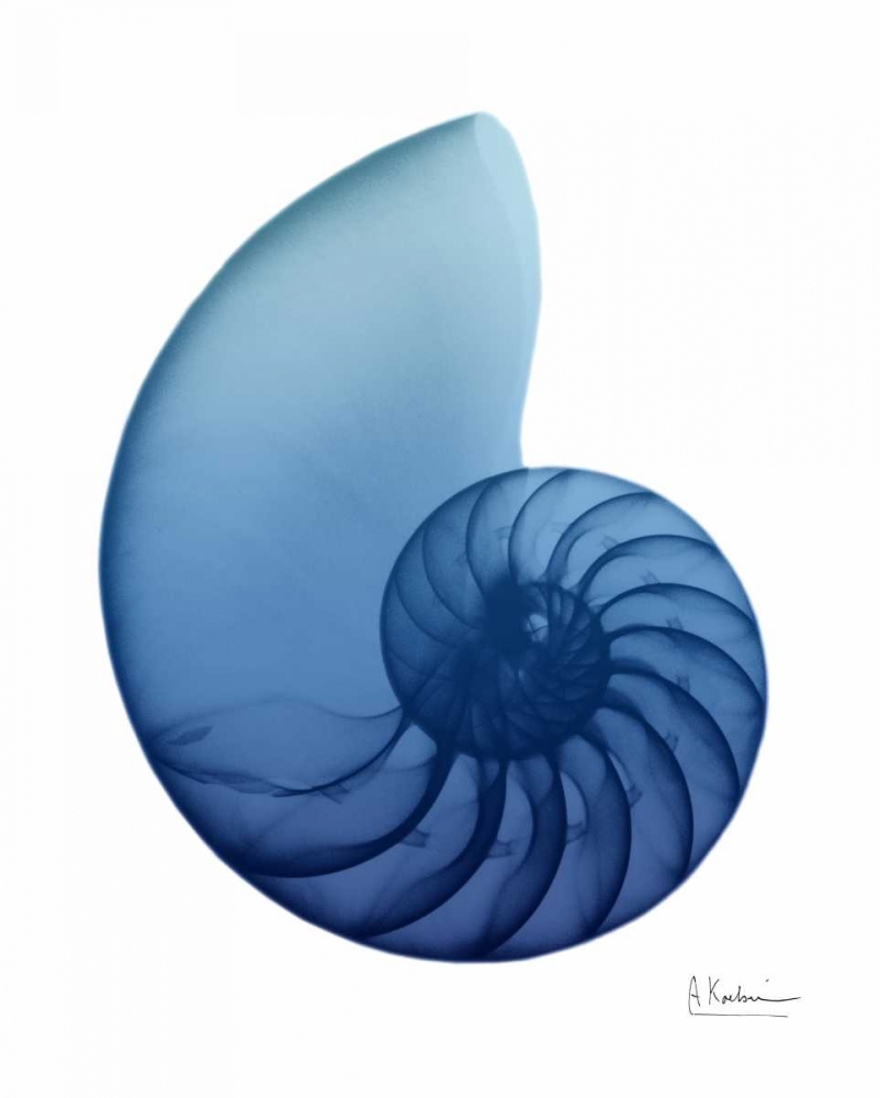 Scenic Water Snail 2 art print by Albert Koetsier for $57.95 CAD