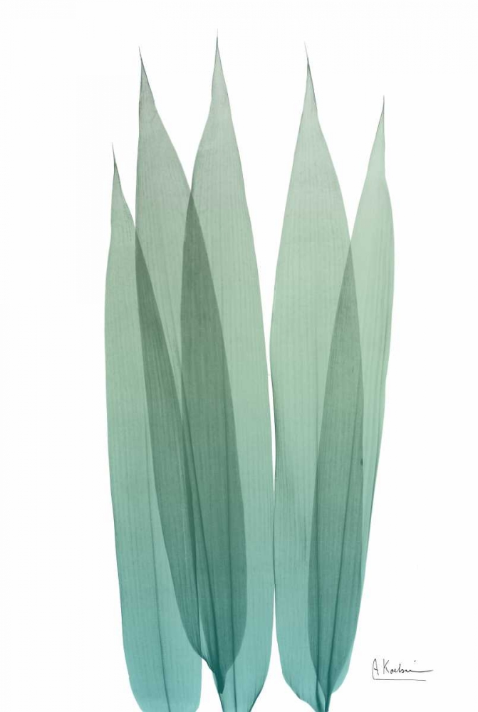 Radiant Bamboo Leaf 1 art print by Albert Koetsier for $57.95 CAD