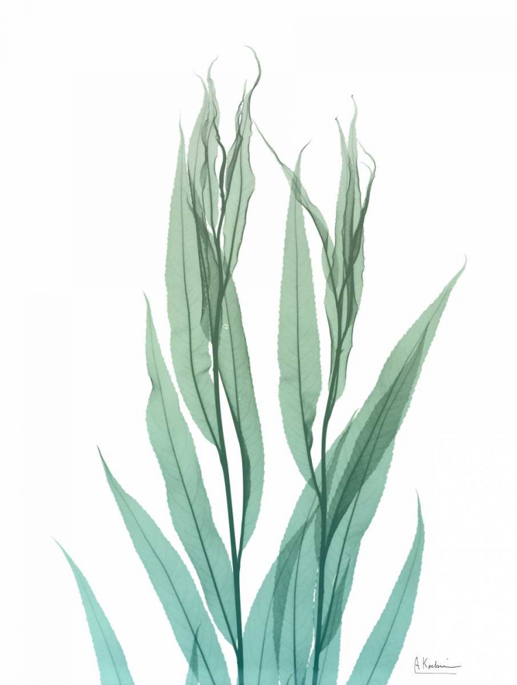 Radiant Bamboo Leaf 2 art print by Albert Koetsier for $57.95 CAD