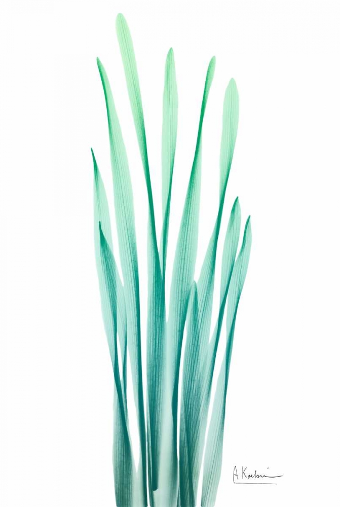 Radiant Bamboo Leaf art print by Albert Koetsier for $57.95 CAD