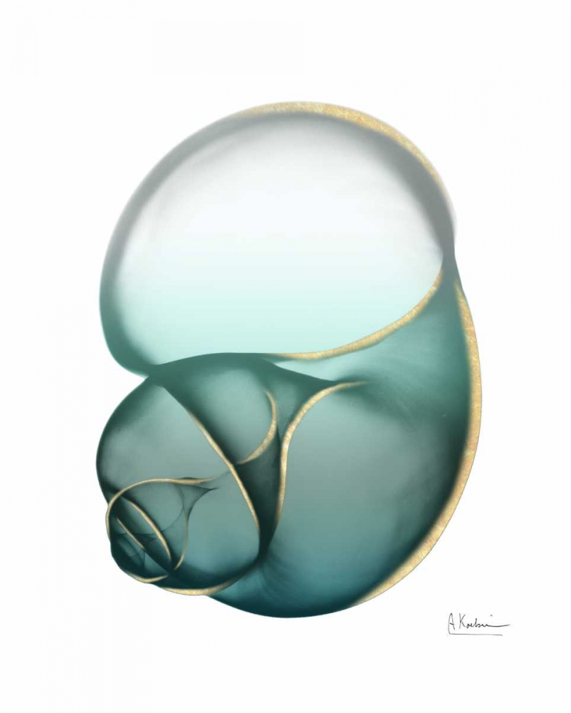 Shimmering Snail 1 art print by Albert Koetsier for $57.95 CAD