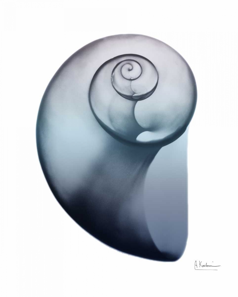 Lavender Snail 2 art print by Albert Koetsier for $57.95 CAD