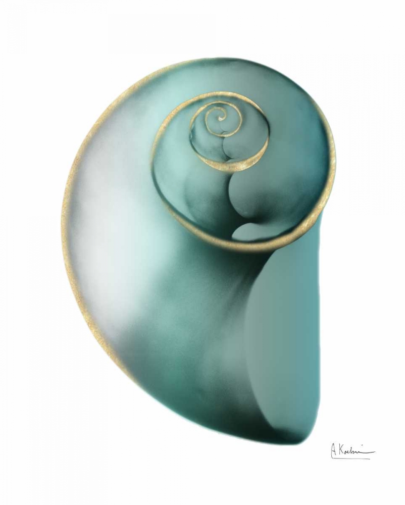 Shimmering Snail 2 art print by Albert Koetsier for $57.95 CAD