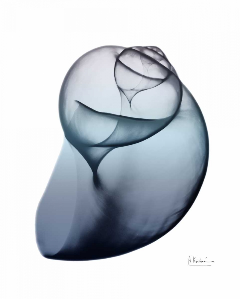 Lavender Snail 3 art print by Albert Koetsier for $57.95 CAD
