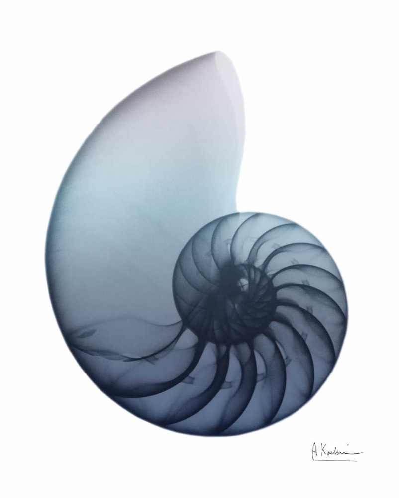 Lavender Snail 4 art print by Albert Koetsier for $57.95 CAD