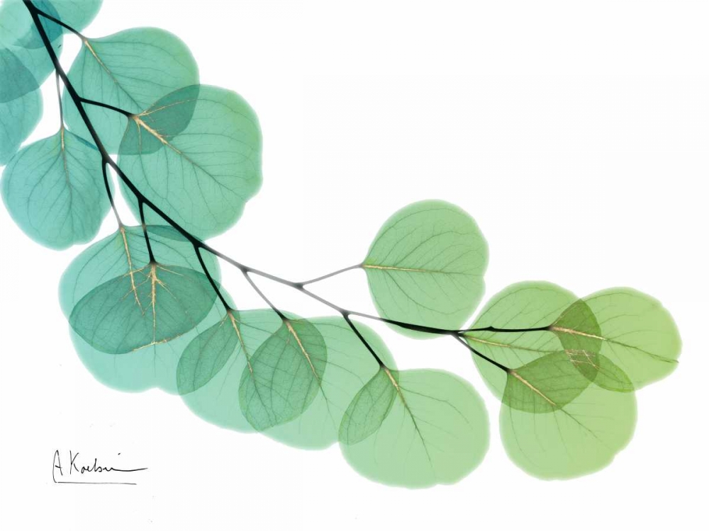 Golden Eucalyptus art print by Albert Koetsier for $57.95 CAD
