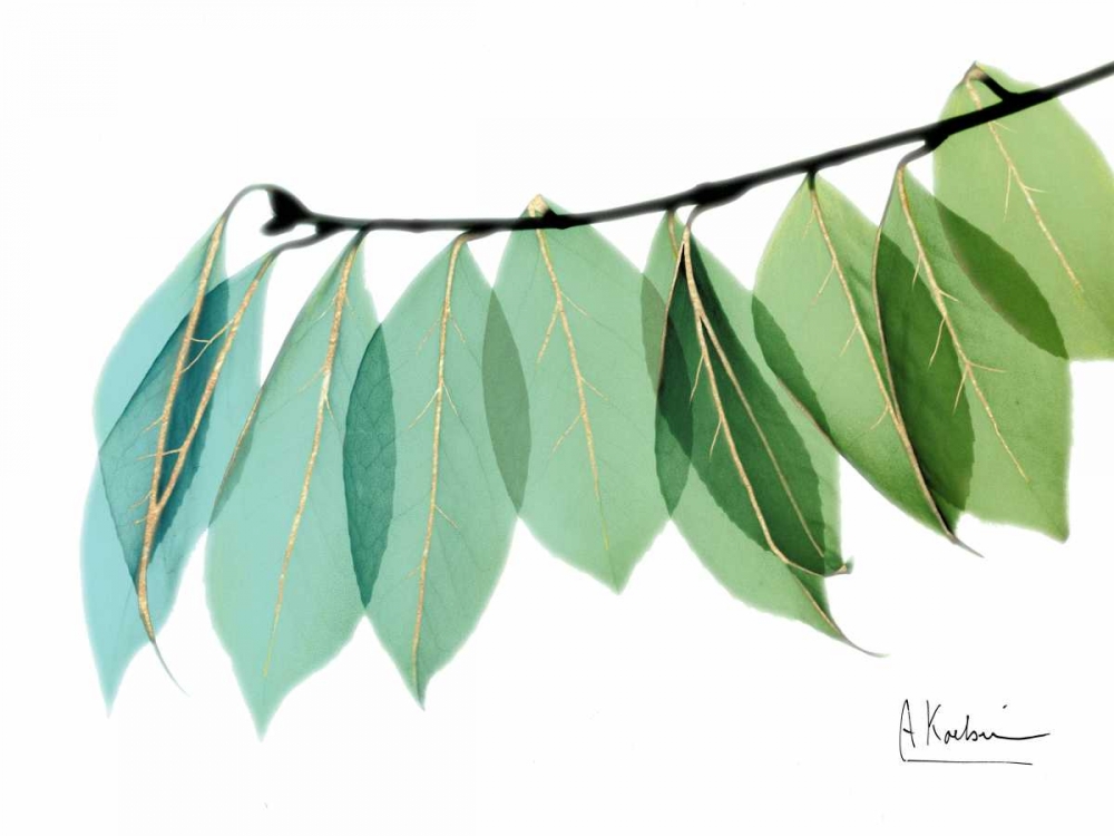 Golden Camelia Leaf art print by Albert Koetsier for $57.95 CAD
