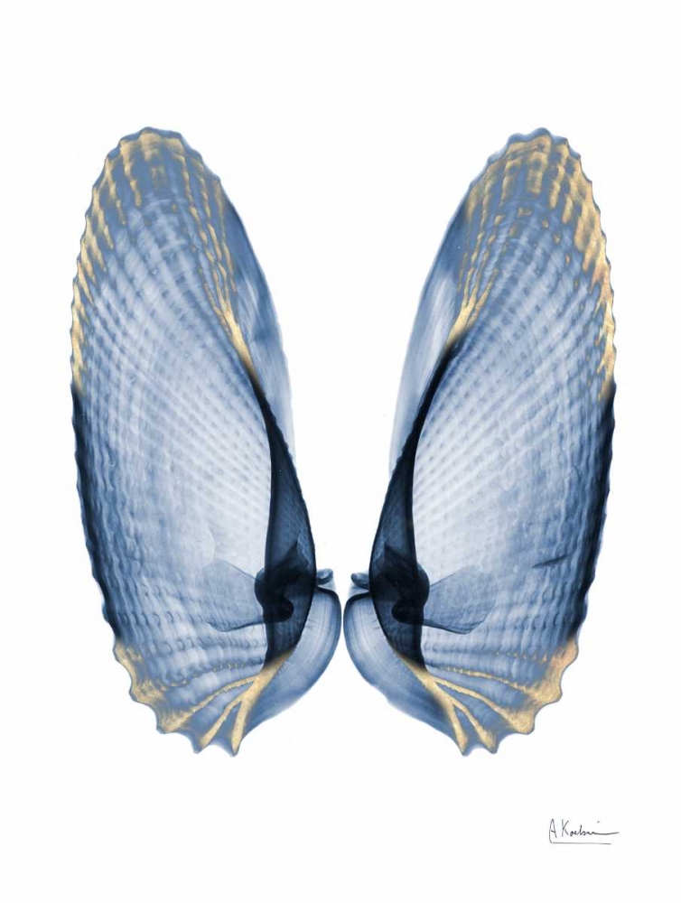Golden Crusted Angel Wings art print by Albert Koetsier for $57.95 CAD
