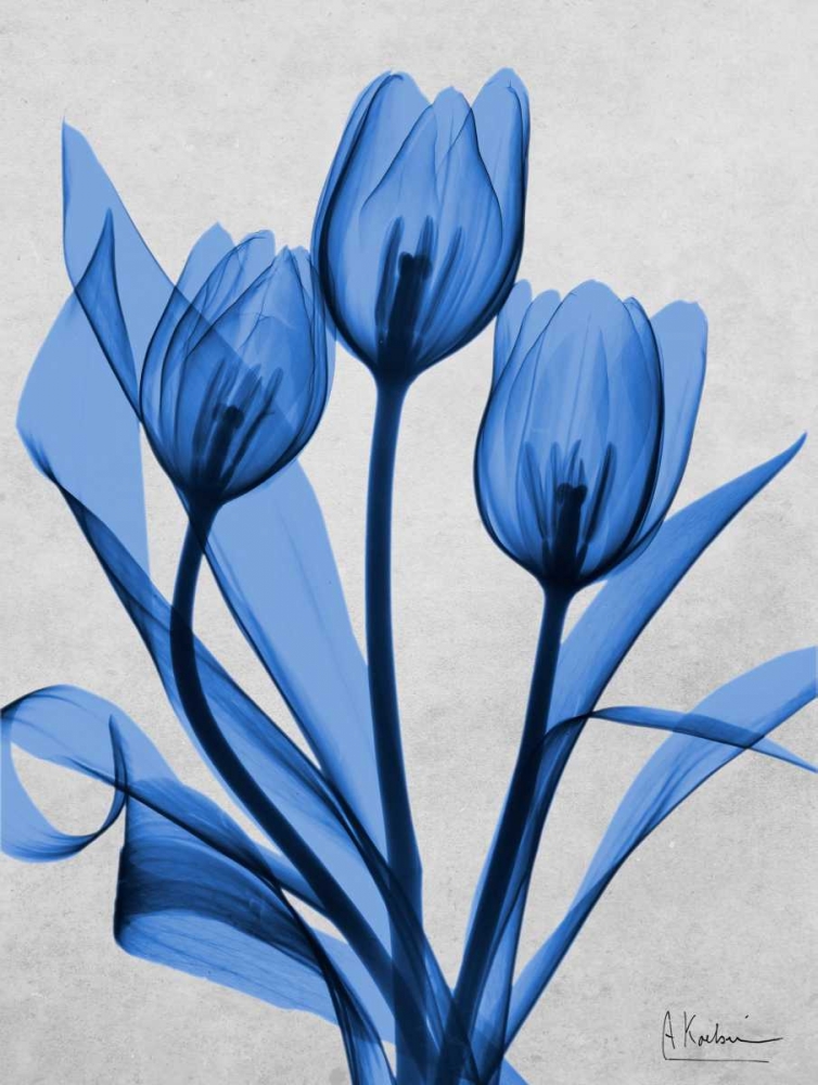Midnight Tulips 2 art print by Albert Koetsier for $57.95 CAD