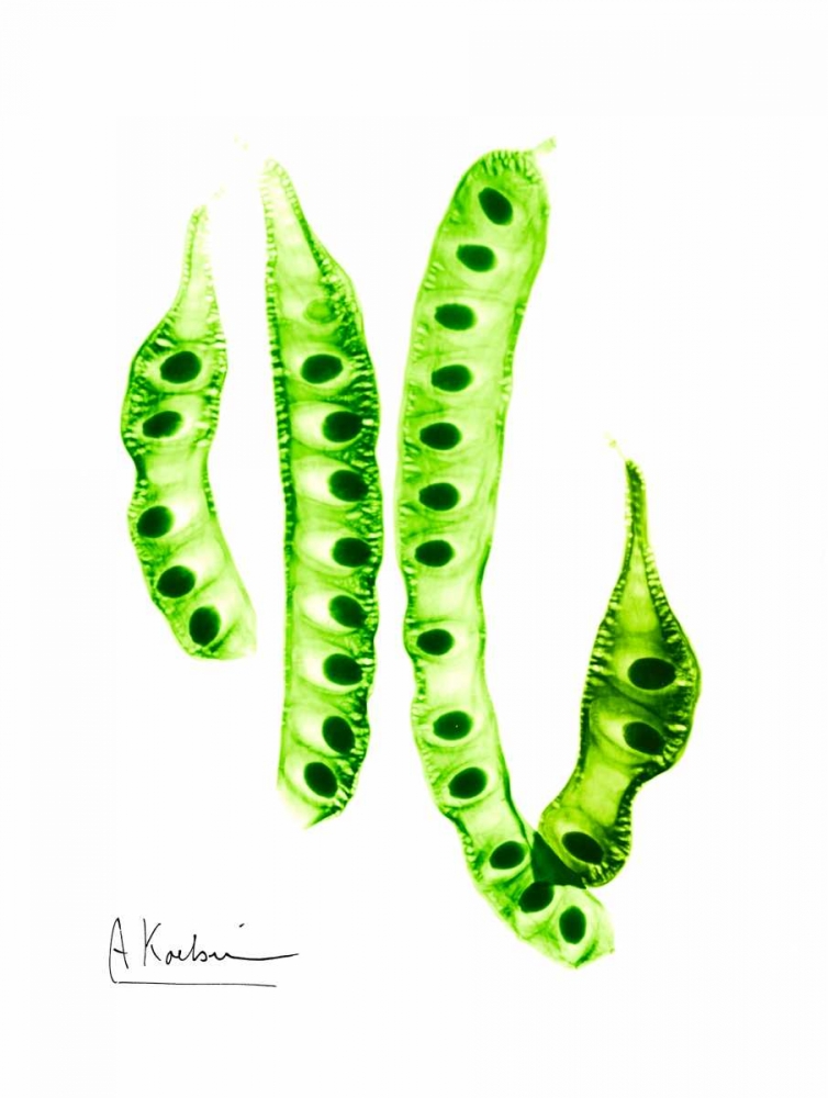 Carob Formation art print by Albert Koetsier for $57.95 CAD