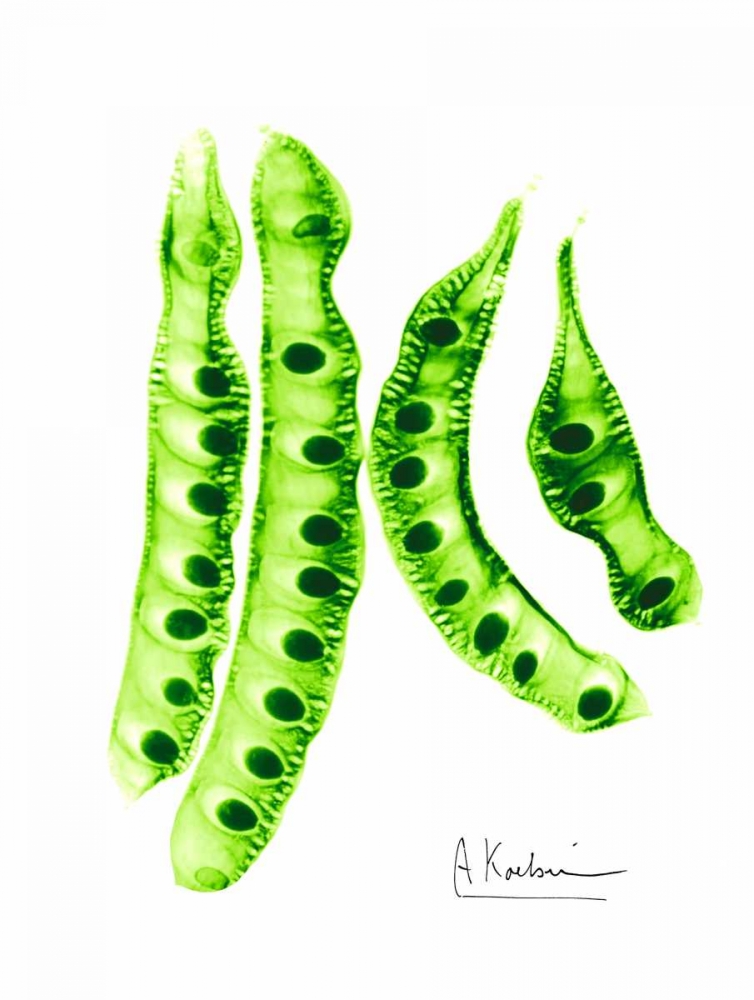 Carob Formation 2 art print by Albert Koetsier for $57.95 CAD