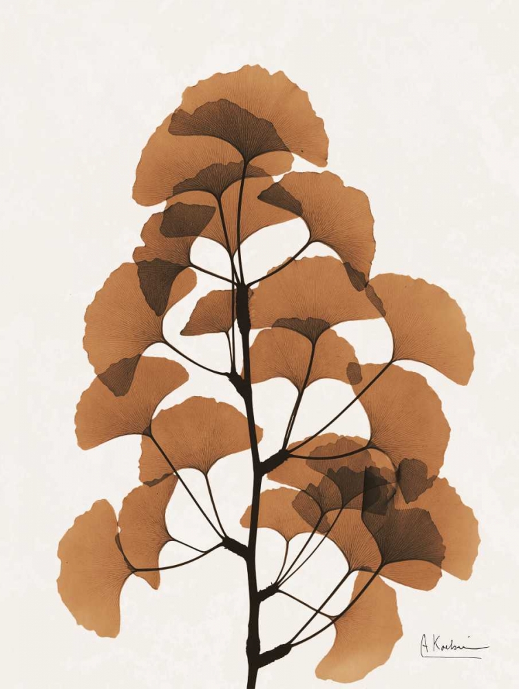 Aged Ginko art print by Albert Koetsier for $57.95 CAD